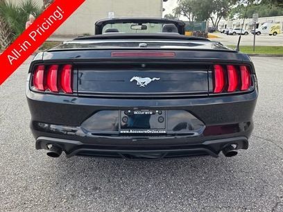 Used 2019 Ford Mustang Premium