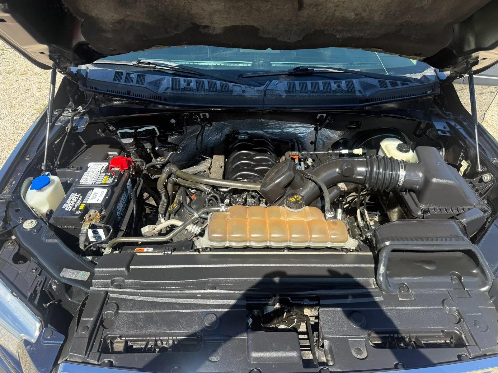 Used 2016 Ford F150 XLT w/ Equipment Group 301A Mid RWD image 11