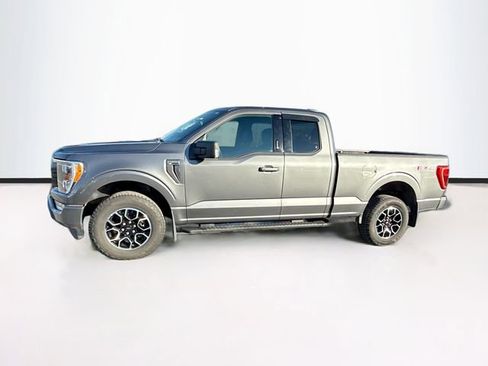 Used 2023 Ford F150 XLT w/ Equipment Group 302A High image 4
