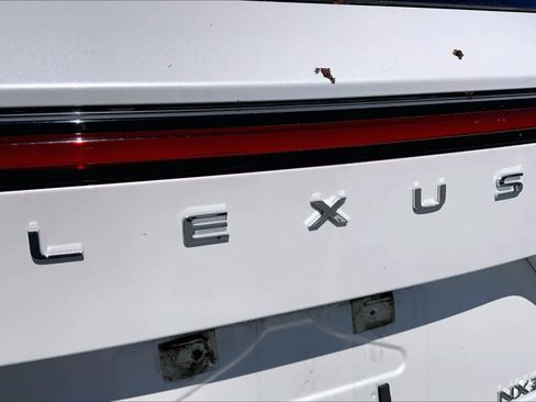 Used 2024 Lexus NX 250 FWD w/ Cold Area Package image 31