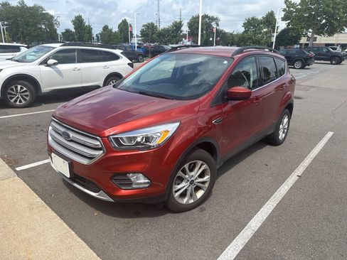 Used 2019 Ford Escape SEL AWD/4WD image 3