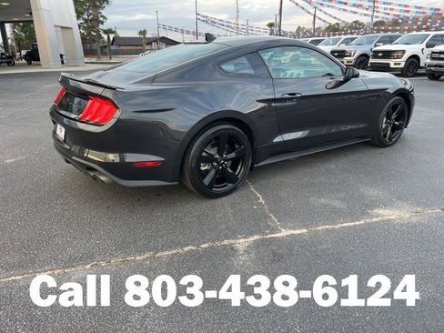 Used 2023 Ford Mustang GT Premium w/ Mustang Nite Pony Package image 3