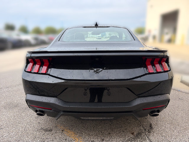 New 2026 Ford Mustang Coupe w/ Mustang Nite Pony Package RWD image 7