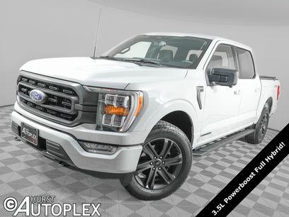 Used 2023 Ford F150 XLT w/ Equipment Group 302A High