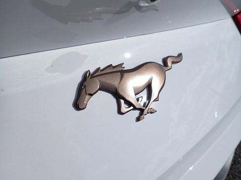 Used 2025 Ford Mustang Premium image 8