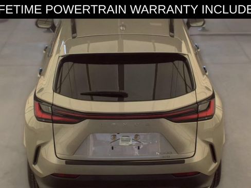 Used 2024 Lexus NX 350 F Sport AWD/4WD image 6