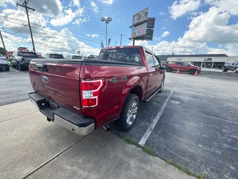 Used 2019 Ford F150 XLT w/ Equipment Group 302A Luxury AWD/4WD image 15