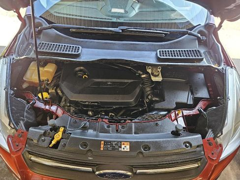 Used 2014 Ford Escape SE w/ SE Chrome Package FWD image 19