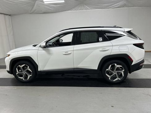 Used 2024 Hyundai Tucson Limited AWD/4WD image 6