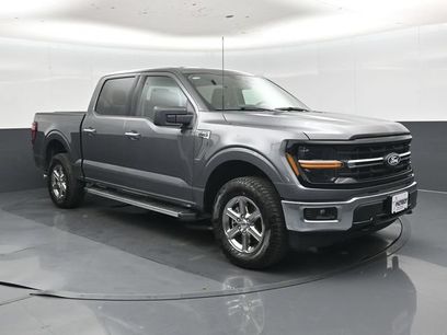 Used 2025 Ford F150 XLT w/ Equipment Group 301A Standard