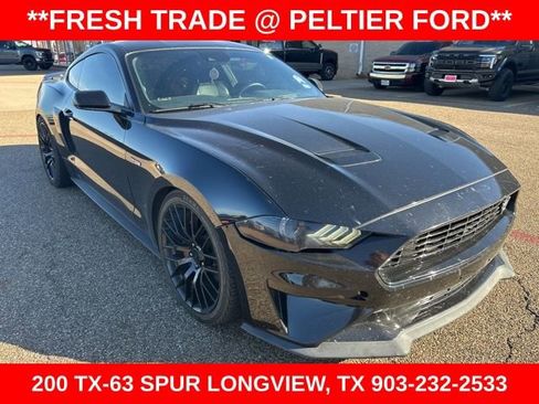 Used 2019 Ford Mustang GT Premium w/ Equipment Group 401A image 1
