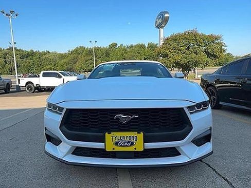 Used 2024 Ford Mustang Premium RWD image 3