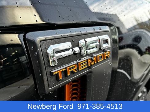 Used 2025 Ford F150 Tremor w/ Mobile Office Package AWD/4WD image 11