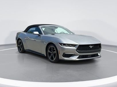 Used 2024 Ford Mustang Premium