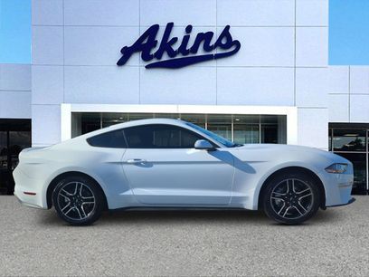 Certified 2019 Ford Mustang Coupe w/ Equipment Group 101A