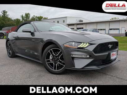 Used 2020 Ford Mustang Premium w/ Equipment Group 201A