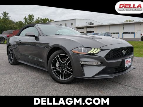 Used 2020 Ford Mustang Premium w/ Equipment Group 201A RWD image 1