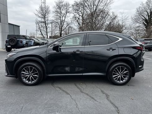 Used 2023 Lexus NX 350 350 Base w/ Cold Area Package image 8