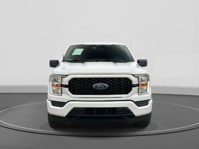 Certified 2022 Ford F150 XL w/ STX Appearance Package AWD/4WD image 3