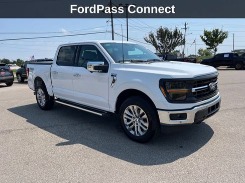 Used 2025 Ford F150 XLT w/ Equipment Group 302A MID AWD/4WD image 9
