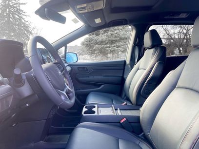 New 2026 Honda Odyssey Elite