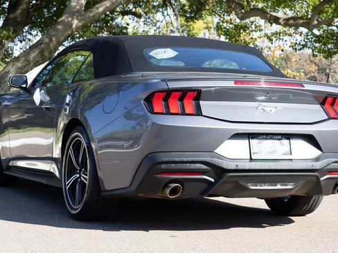 Used 2024 Ford Mustang Premium image 10