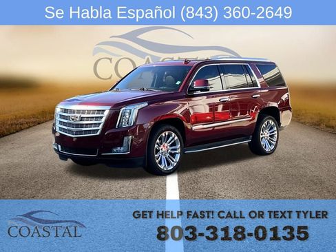 Used 2019 Cadillac Escalade Luxury w/ LPO, Radiant Package image 1