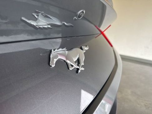 Used 2025 Ford Mustang Premium image 8