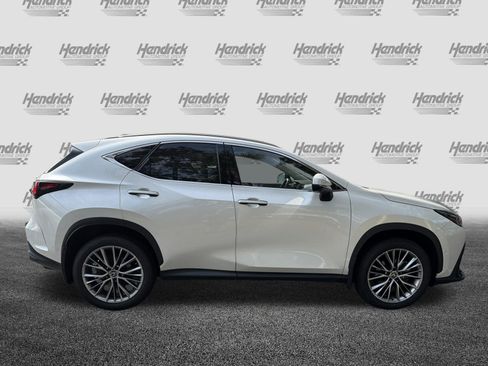 Certified 2024 Lexus NX 350h AWD w/ Vision Package image 10