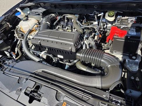 Used 2024 Ford Escape ST-Line w/ Tech Pack #1 image 29