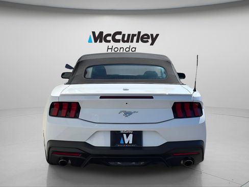 Used 2025 Ford Mustang Premium RWD image 4