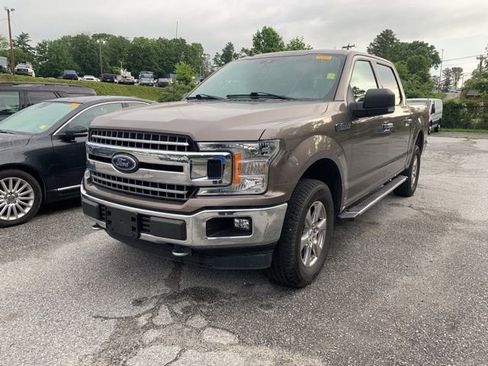 Used 2019 Ford F150 XLT w/ Equipment Group 302A Luxury AWD/4WD image 4
