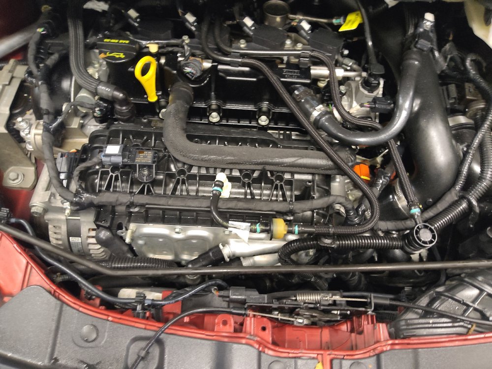 Used 2019 Ford Escape SE FWD image 30