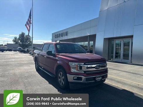 Used 2019 Ford F150 XLT w/ Equipment Group 302A Luxury RWD image 1