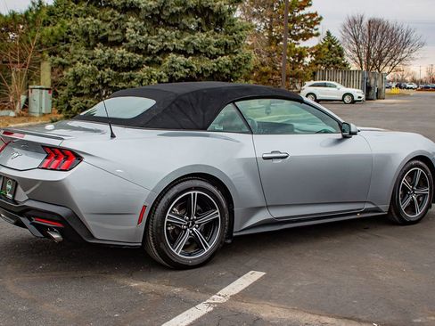 Used 2024 Ford Mustang Premium image 9
