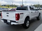 Used 2019 Ford Ranger XLT w/ FX4 Off-Road Package image 6