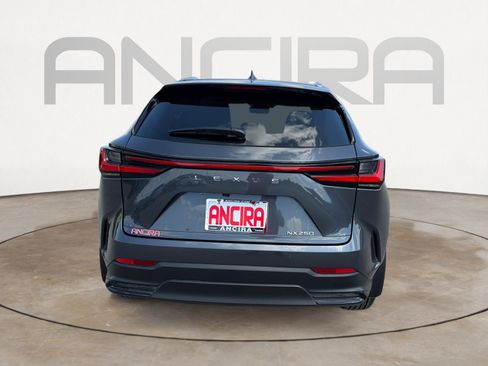 Used 2025 Lexus NX 250 FWD w/ Accessory Package (Z1) image 9