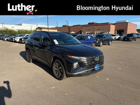 Certified 2024 Hyundai Tucson Blue AWD/4WD image 1