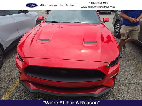 Used 2019 Ford Mustang Coupe w/ Equipment Group 101A RWD image 2