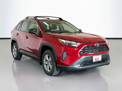 New 2025 Toyota RAV4 LE