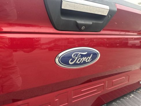 Used 2019 Ford F150 XLT w/ Equipment Group 302A Luxury AWD/4WD image 6