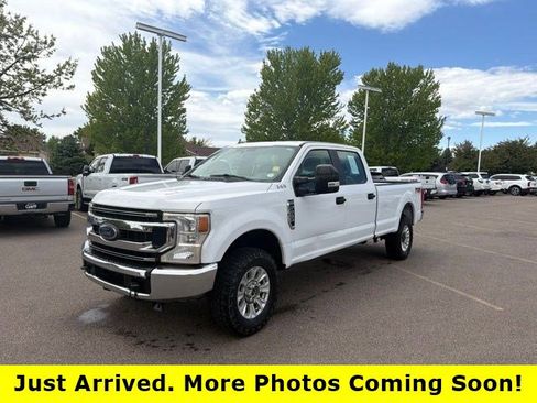 Used 2020 Ford F250 XL w/ STX Appearance Package AWD/4WD image 1