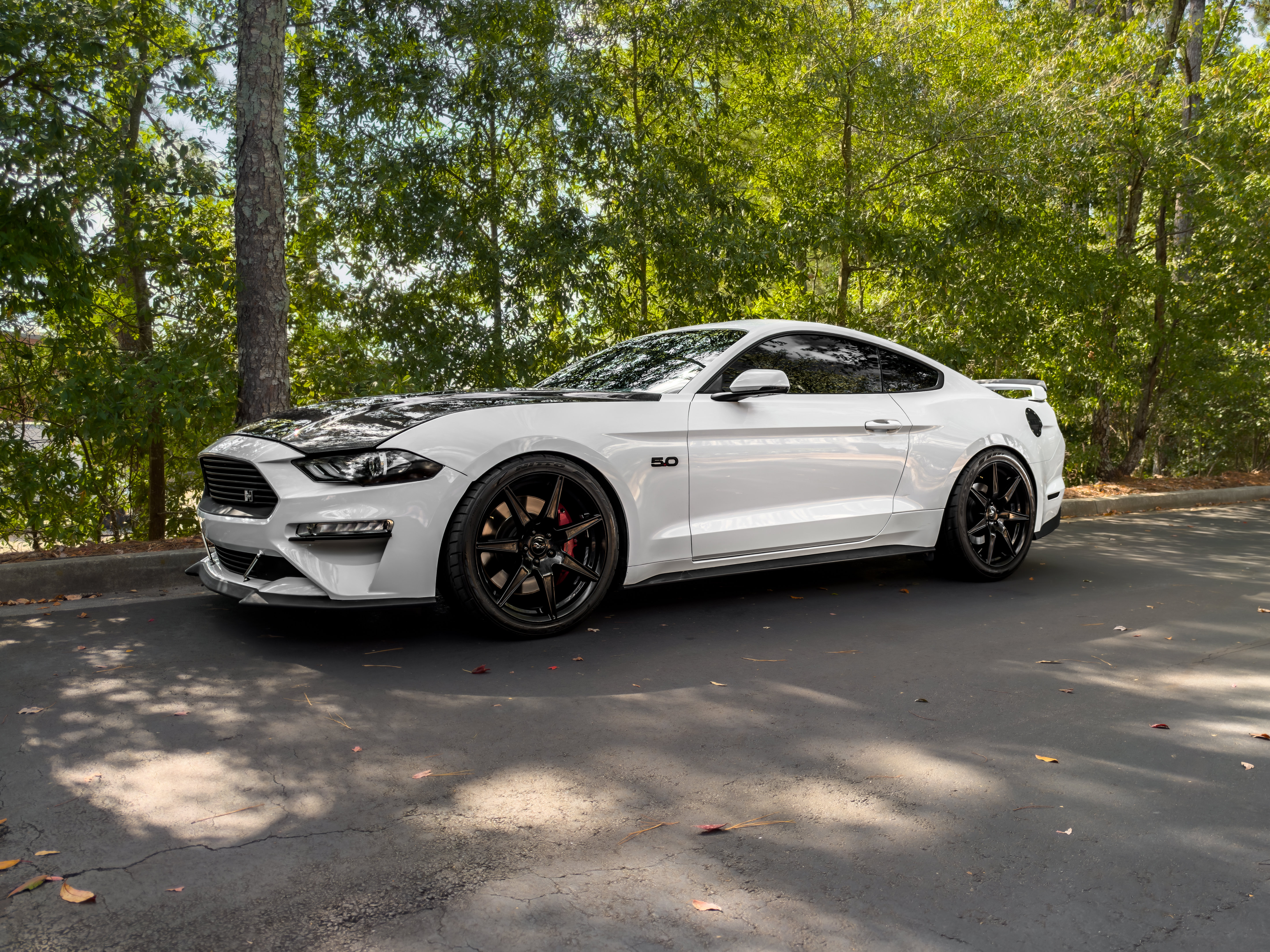 Used 2019 Ford Mustang GT Premium w/ GT Performance Package RWD image 48