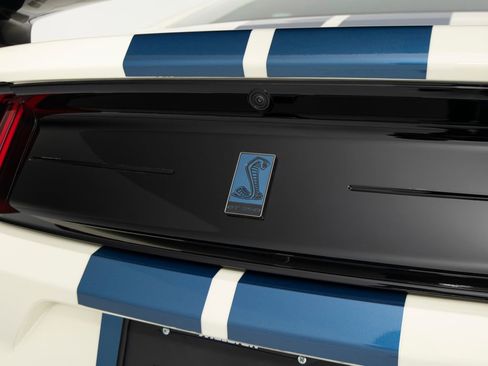 Used 2020 Ford Mustang Shelby GT350R w/ GT350R Equipment Group 920A image 49