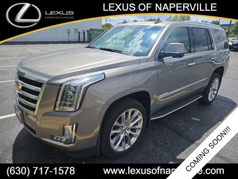 Used 2017 Cadillac Escalade Luxury AWD/4WD image 1