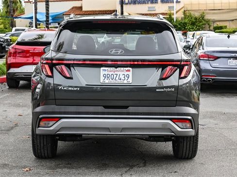 Certified 2025 Hyundai Tucson Limited image 6