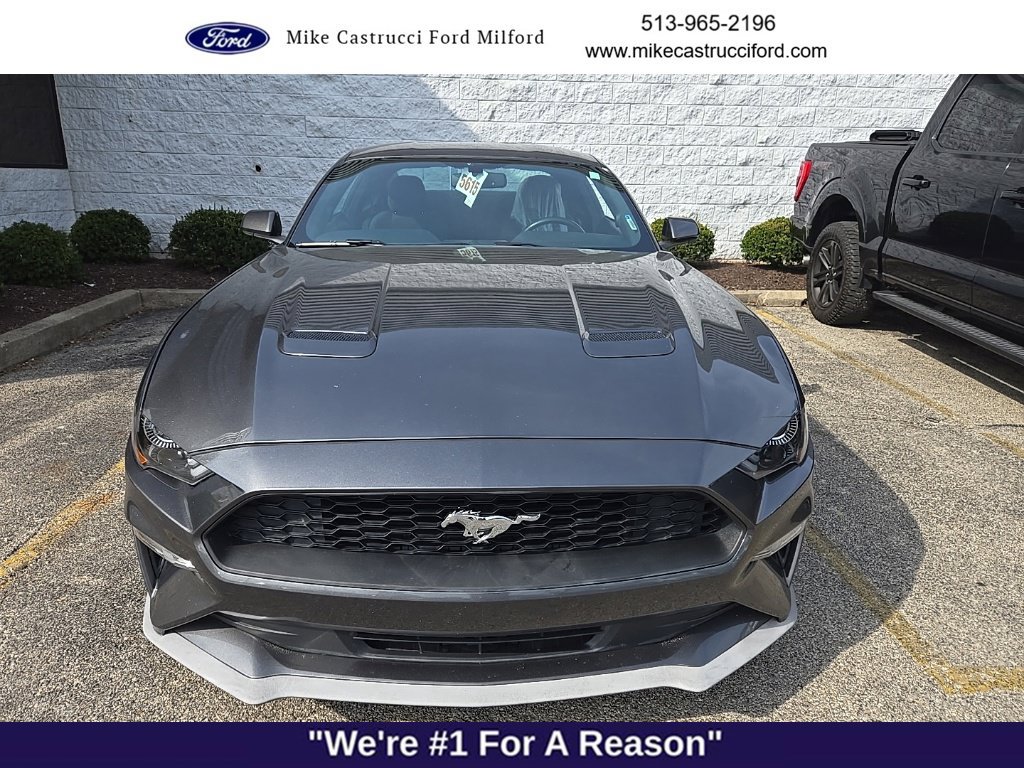 Certified 2020 Ford Mustang Coupe w/ Equipment Group 101A RWD image 2