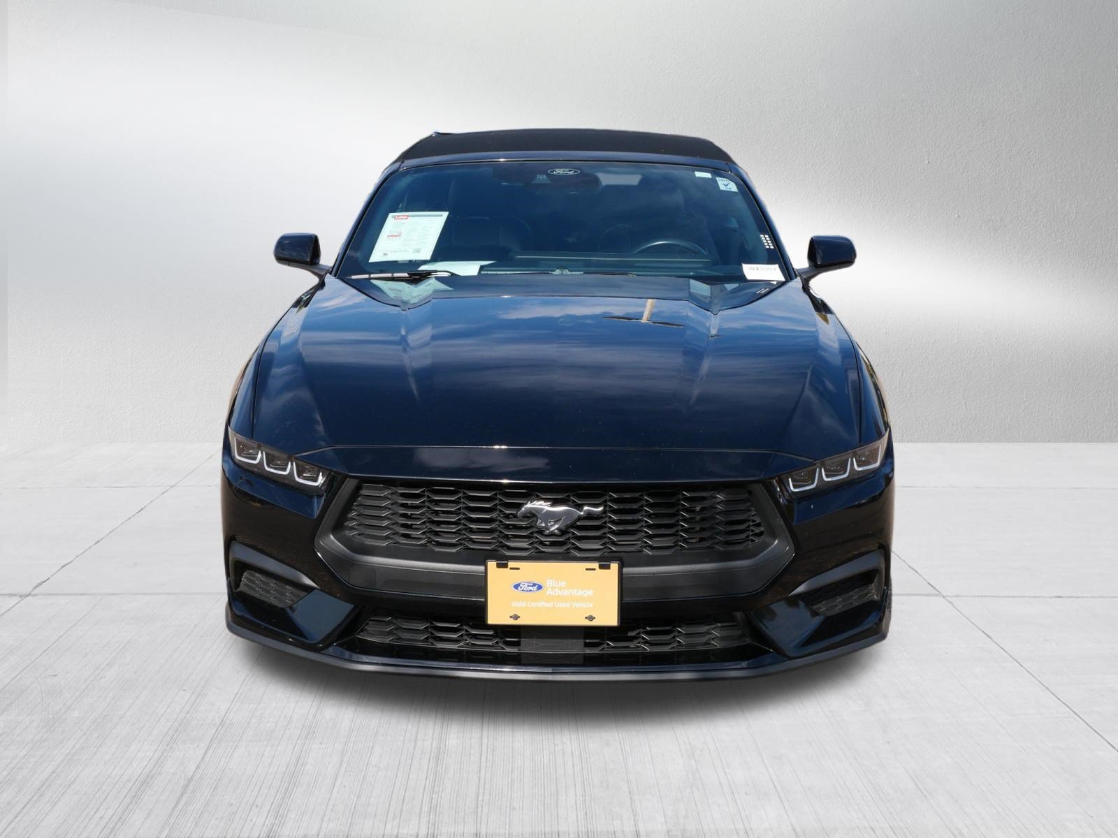 Certified 2024 Ford Mustang Premium RWD image 2