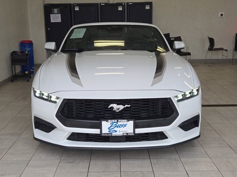 Used 2025 Ford Mustang Premium w/ Wheel & Stripe Package RWD image 2