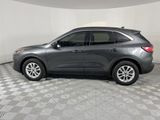 Used 2020 Ford Escape SE image 4